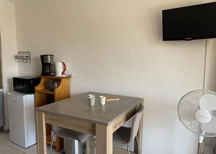 Avec Terrasse Et Parking A - Fr-1-833-9 *